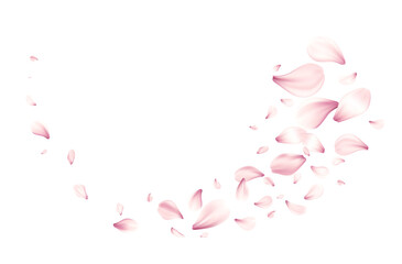 Vector Illustration of Beautiful Pink Rose Petals in a Flowing Pattern on White Background