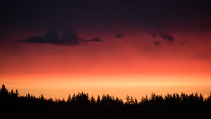 Sunset colours in the sky above the silhouette of conifer forest in eastern Finland on a summer night