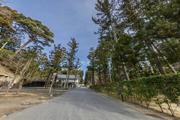晩秋の瑞厳寺・参道(宮城県宮城郡松島町)