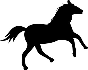 silhouette horse