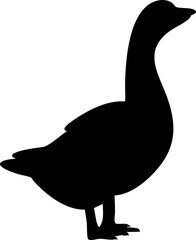 silhouette swan 