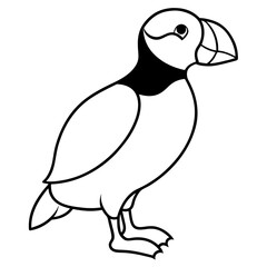 Elegant Puffin Outline Vector Art