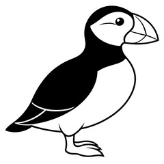 Elegant Puffin Outline Vector Art