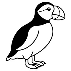 Elegant Puffin Outline Vector Art