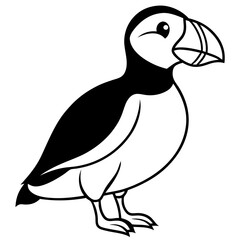 Elegant Puffin Outline Vector Art