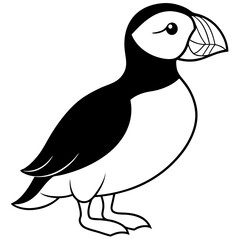 Elegant Puffin Outline Vector Art