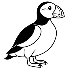 Elegant Puffin Outline Vector Art