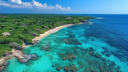 Pristine tropical beach with vibrant turquoise water. Lush greenery meets a pristine white sand beach, bordered by a dramatic coastal edge