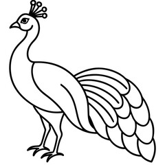 Graceful Peacock Single Line Vector Design