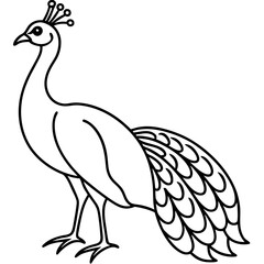 Graceful Peacock Single Line Vector Design