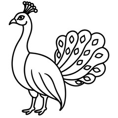 Graceful Peacock Single Line Vector Design