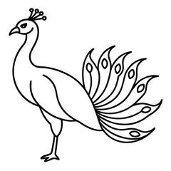 Graceful Peacock Single Line Vector Design