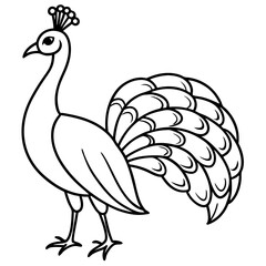 Graceful Peacock Single Line Vector Design