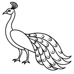 Fototapeta premium Graceful Peacock Single Line Vector Design