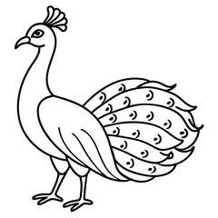 Graceful Peacock Single Line Vector Design