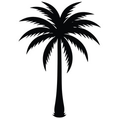 Fototapeta premium A pure black silhouette of a tall and slightly curved palm tree with long, arching fronds, 