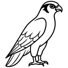 Fototapeta premium Minimal Falcon Vector