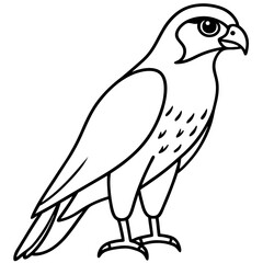 Minimal Falcon Vector