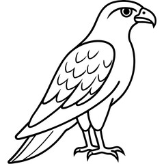 Minimal Falcon Vector