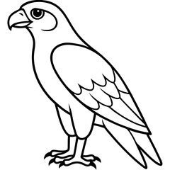 Minimal Falcon Vector