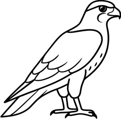 Minimal Falcon Vector