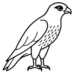 Minimal Falcon Vector
