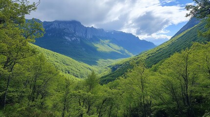Obraz premium Green valley view. Mountains stand tall. Sky bright with clouds. Forest covers slopes. Natural beauty. Peaceful landscape. Sunlight shines through trees.