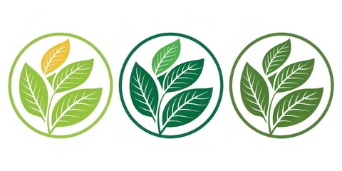 Three Green Leaf Circles Natural Organic Plant Logos, Eco , Nature