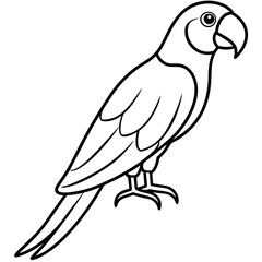 Obraz premium Minimalist Macaw Vector Art