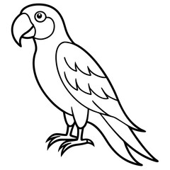 Minimalist Macaw Vector Art