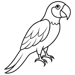 Minimalist Macaw Vector Art