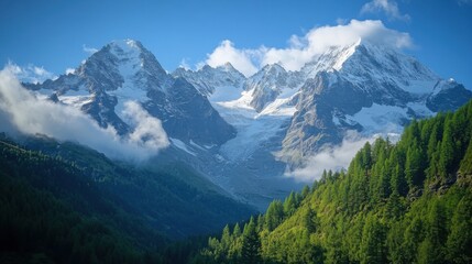 Fototapeta premium Snowy mountains rise above green trees. Clouds drift over the tall peaks. Sunny day in the high mountains. Nature scene and scenic view.