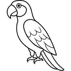 Minimalistic Parrot Vector Design