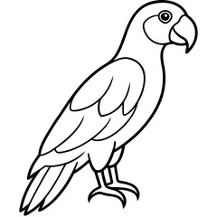 Minimalistic Parrot Vector Design