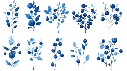 Blueberries Branches Decorative Illustration