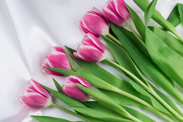 Pink tulips on a white silky fabric, place for a text. Spring banner.