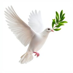 Fototapeta premium Majestic white holding an olive branch in its beak symbolizing peace and hope against a pure white background