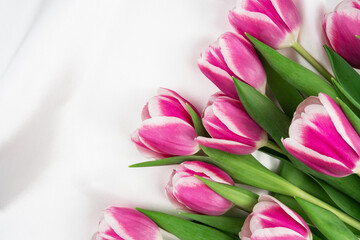 Fototapeta premium Pink tulips on a white silky fabric, place for a text. Spring banner.