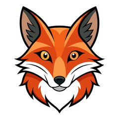 red fox vector illustration