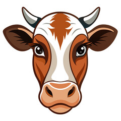 cow on a white background