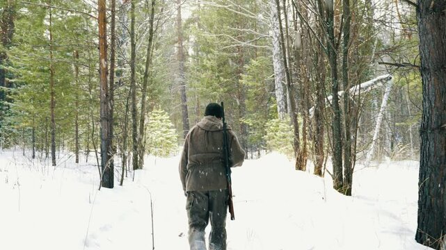A lone hunter with a gun is walking through a winter forest.  Tracks down wild forest animals and hunts them. Hunting animals is a way of life.