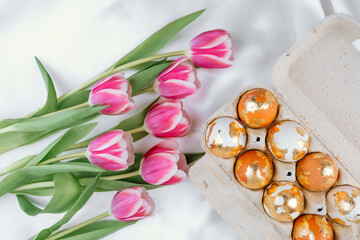 Painted gold Easter eggs in a carton on a white silky background with pink tulips