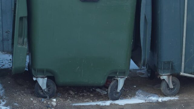 rats crawl under garbage containers during the day in search of food scraps, rat breeding in places where garbage and waste accumulate in cities