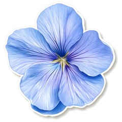 Beautiful Blue Flower Blooming with Soft Petals and Delicate Veins in Natural Setting