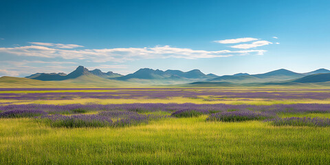 Obraz premium Vast Lavender Field Stretching Towards a Distant Mountain for Romantic Scenes, Perfume Advertising, or Travel Promotions