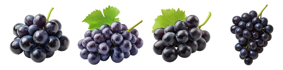 Close Up of Fresh Sweet Grapes with Deep Purple Color and Glossy Skin Isolated on Transparent Background