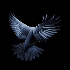 Obraz premium white dove flying against black background Made with generative AI