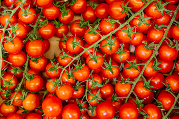 A close-up of fresh, juicy tomatoes. Nutrition concepts, shopping and recipes.