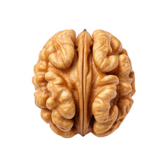 detailed view of walnut resembling human brain, showcasing its unique texture and shape