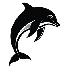 Fototapeta premium It's amazing to see the dolphin photos on the famous